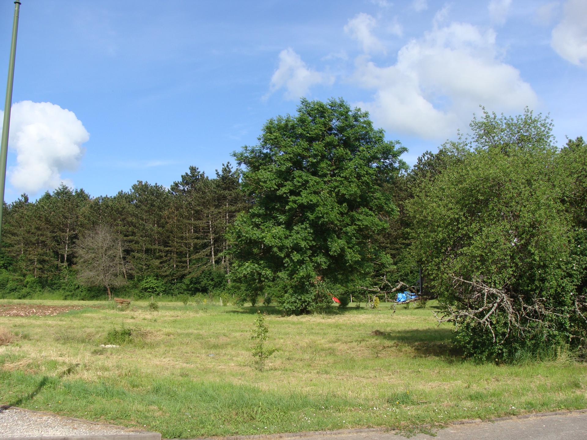 Lotissement de Bel Air Hameau de Montormentier